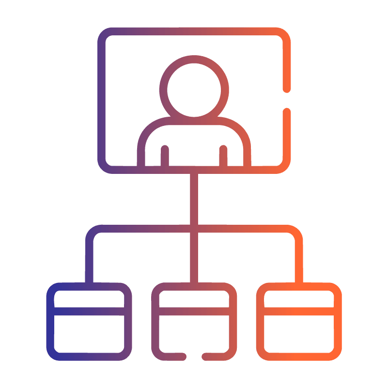 Information Architecture & User Flow